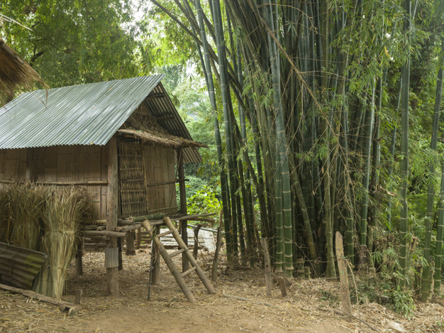 bambusstige